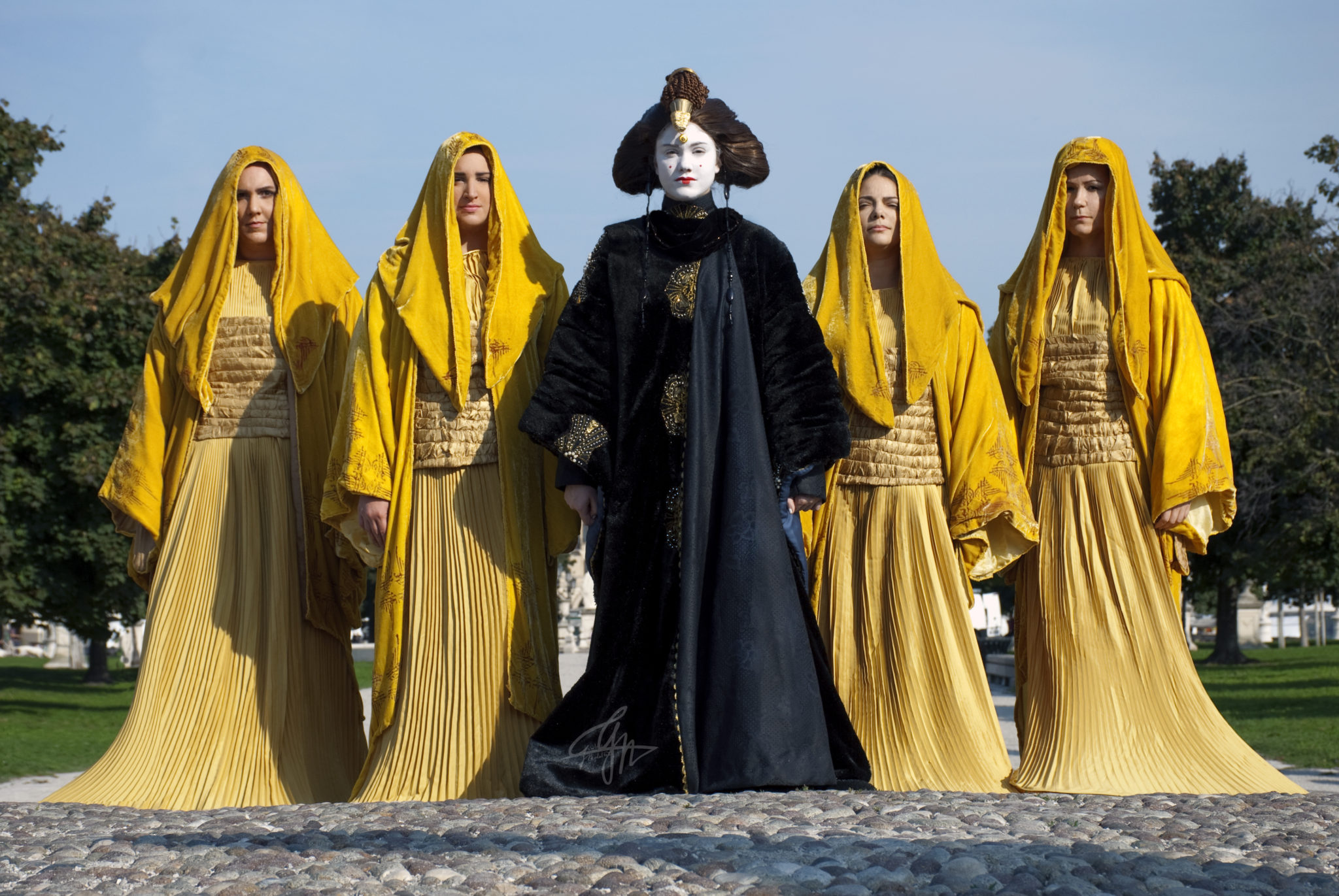 Padme`s Handmaidens